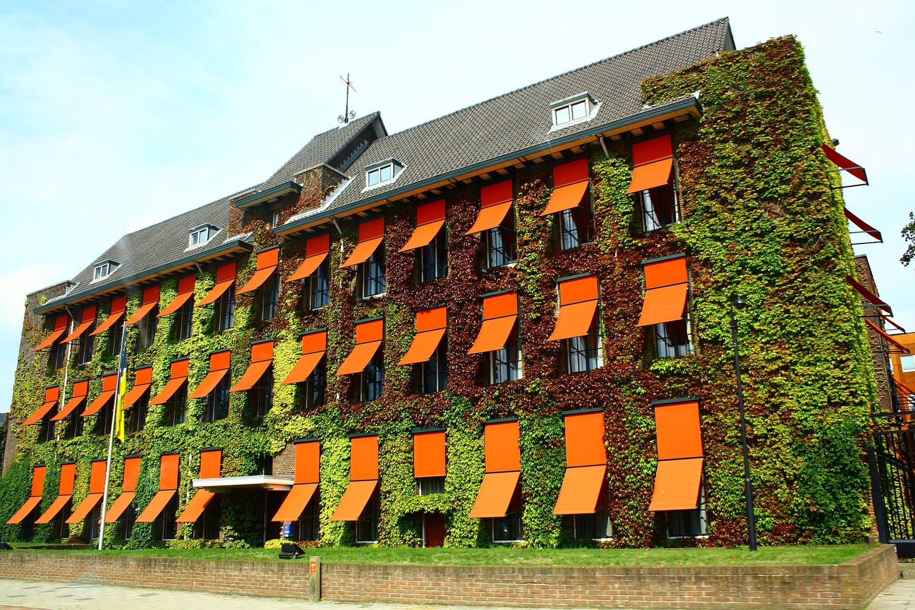 Brick building covered in ivy with orange awnings over the windows.