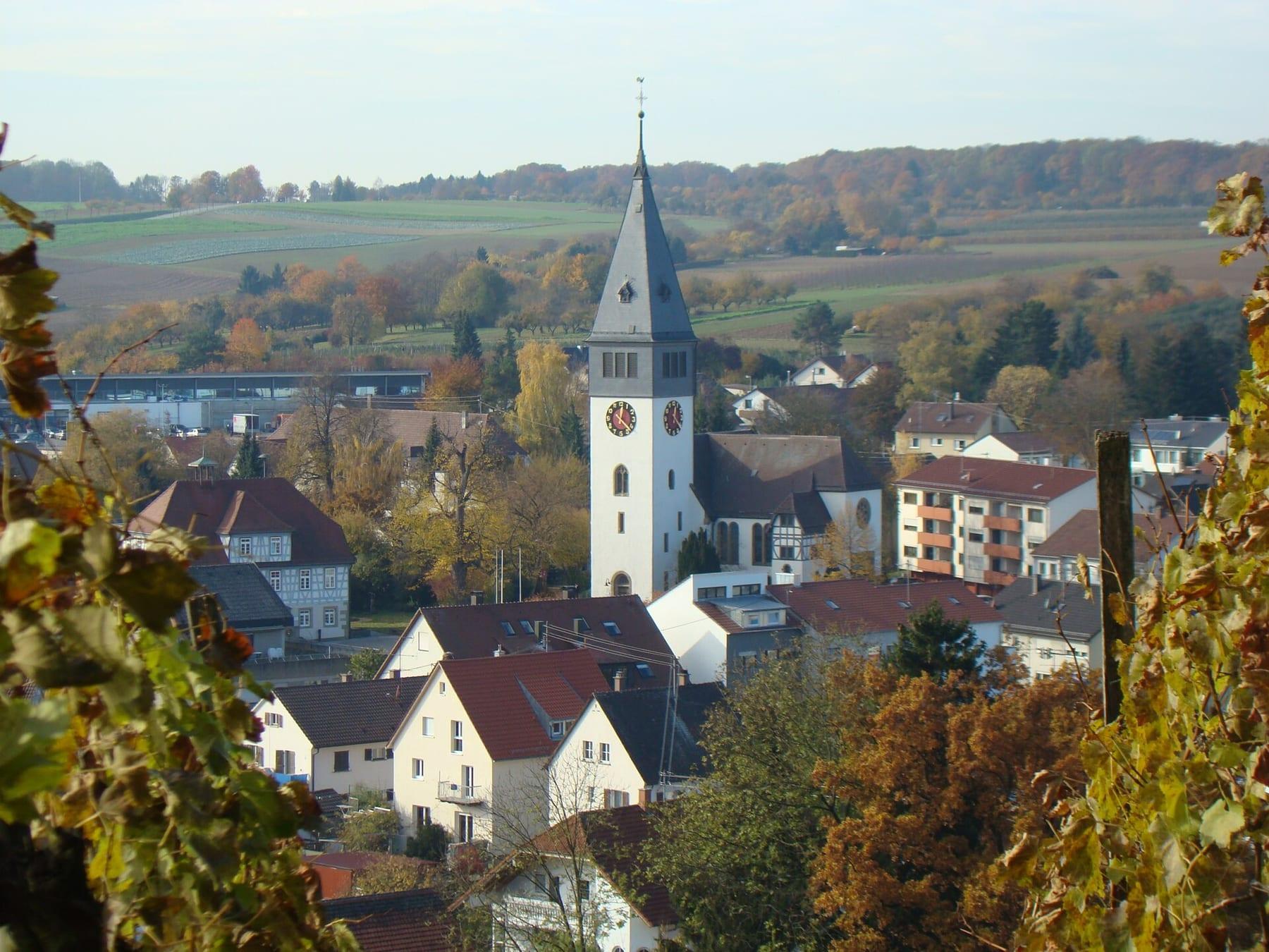 Village roofs and the church tower with autumn hills behind.