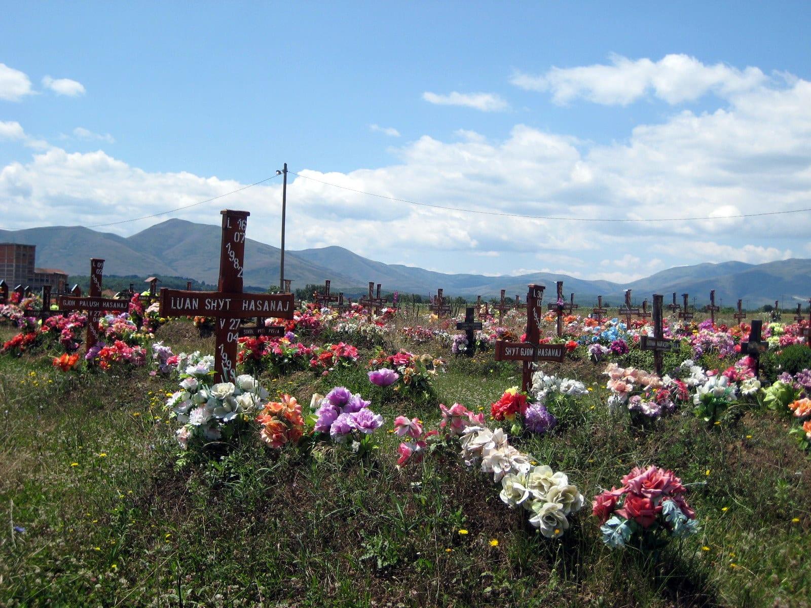 Graves with flowers and wooden crosses in a field, mountains on the horizon