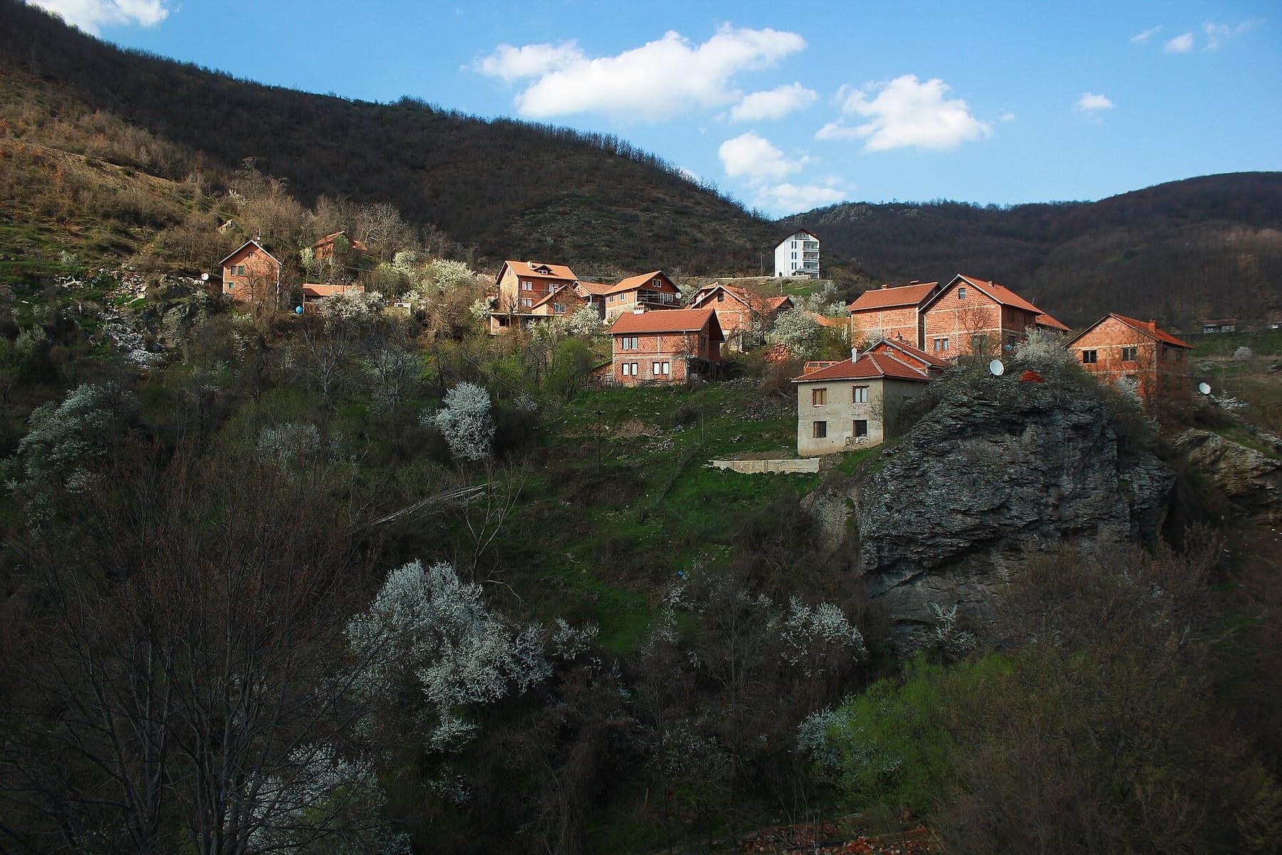 Red-roofed houses on a hillside with blossoming trees.