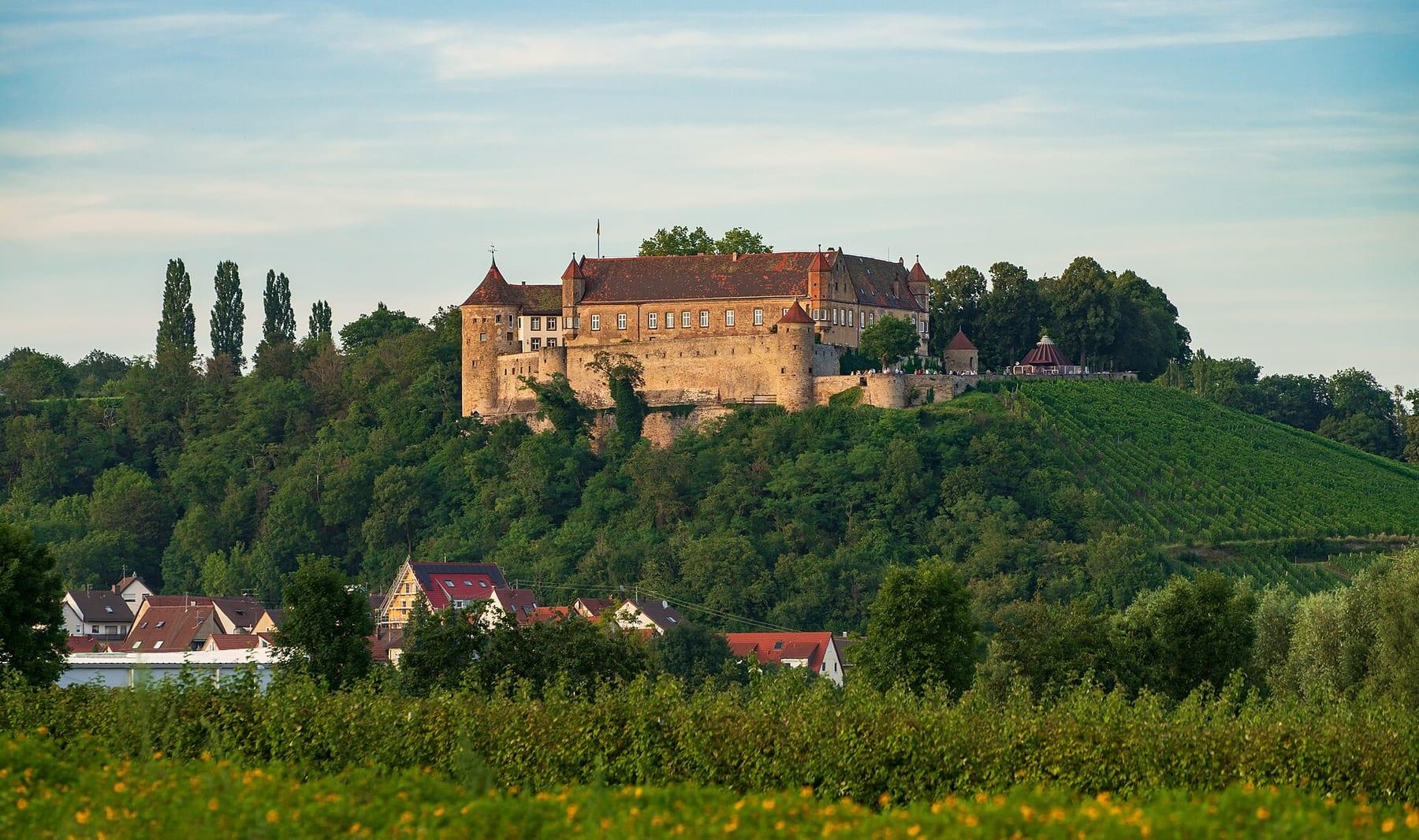 Castle on a hill with vineyards and trees.